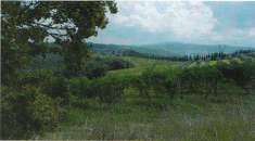 Foto Azienda agricola in Vendita, pi di 6 Locali, 1500 mq (GAMBASSI