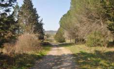 Foto Azienda agricola in Vendita, pi� di 6 Locali, 160 mq (MONTECATIN