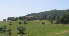 Foto Azienda agricola in Vendita, pi di 6 Locali, 1900 mq (CASTELNUO