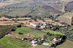 Foto Azienda agricola in Vendita, pi di 6 Locali, 2467 mq (ORBETELLO