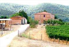 Foto Azienda agricola in Vendita, pi di 6 Locali, 3 Camere, 900 mq (