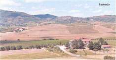 Foto Azienda agricola in Vendita, pi di 6 Locali, 4 Camere, 130 mq (
