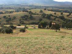 Foto Azienda agricola in Vendita, pi� di 6 Locali, 4 Camere, 97 mq (G