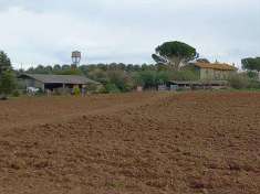 Foto Azienda agricola in Vendita, pi di 6 Locali, 5 Camere, 235 mq (