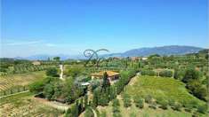 Foto Azienda Agricola in Vendita, pi di 6 Locali, 820 mq, Montecarlo