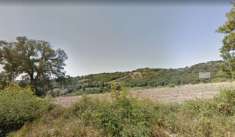Foto Azienda agricola in vendita a Capalbio 80000 mq  Rif: 1014858