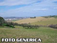 Foto Azienda agricola in vendita a Capannoli 600000 mq  Rif: 1153823