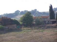 Foto Azienda agricola in vendita a Civitella Paganico 135000 mq  Rif: 1058355