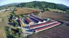 Foto Azienda agricola in vendita a Magione - 12 locali 140000mq