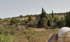 Foto Azienda agricola in vendita a Magliano in Toscana 200 mq  Rif: 1275953