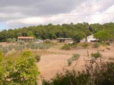 Foto Azienda Agricola in vendita a Montecatini Val di Cecina