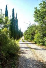 Foto Azienda Agricola in vendita a Monterotondo Marittimo