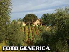 Foto Azienda agricola in vendita a Peccioli - 35 locali 1650000mq