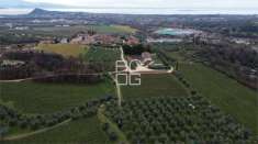 Foto Azienda agricola in Vendita a Polpenazze del Garda Picedo