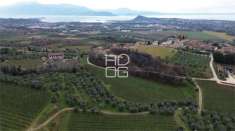 Foto Azienda agricola in Vendita a Polpenazze del Garda Picedo