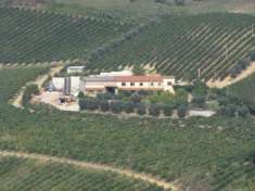 Foto Azienda Agricola in vendita a Ripatransone