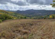 Foto Azienda agricola in vendita a Roccalbegna 994 mq  Rif: 1209418