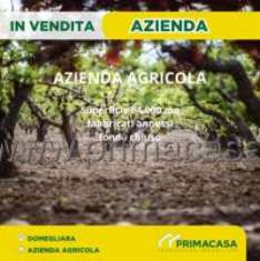 Foto Azienda agricola in vendita a Sant'Ambrogio Di Valpolicella - 2 locali 84000mq
