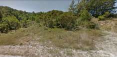 Foto Azienda agricola in vendita a Santa Fiora 900000 mq  Rif: 977549