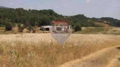 Foto Azienda agricola in vendita a Terranuova Bracciolini - 1 locale 165mq