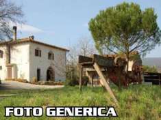Foto Azienda agricola in vendita a Terricciola 70000 mq  Rif: 1310588