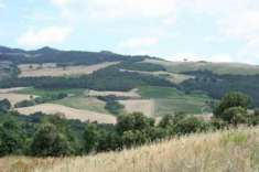 Foto Azienda agricola in vendita a Volterra 3700000 mq  Rif: 1281732