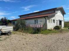 Foto Azienda agricola in Vendita in zona COLLINA