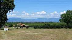 Foto Azienda Agricola Produttiva Pianeggiante di Ettari 64