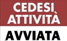 Foto Azienda in vendita  Settore costruzione imbarcazioni