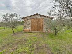 Foto BAGNO DI GAVORRANO GRAZIOSO ANNESSO AGRICOLO IN PIETRA