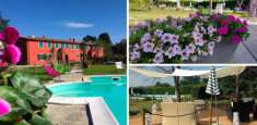 Foto Bed&Breakfast in vendita a Fauglia 800 mq  Rif: 1261320