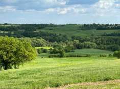 Foto Bellissimo terreno in vendita nelle campagne della Maremma, nel comune di Manciano, nella localit  di San Martino sul Fiora a soli 10 km da Manciano,
