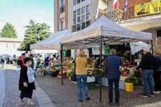 Foto BILOCALE 58 Mq. commerc. -VIA POGLIANI CESANO BOSCONE PROPONE AGENZIA ITALIA IMM