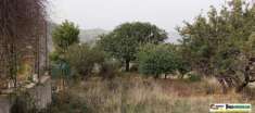 Foto BOLOGNETTA TERRENO AGRICOLO