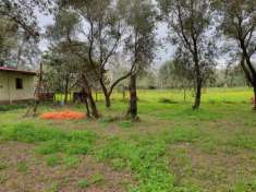 Foto Calabria Palmi terreno a 200 metri dal mare