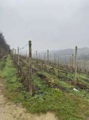 Foto Canale_terreno agricolo