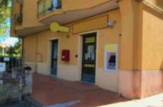 Foto Cantina a Ruvo di Puglia - Rif. 13264