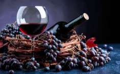 Foto Cantina attrezzata colline Oltrepo' Pavese e Piacenza