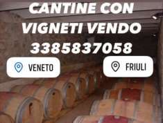 Foto CANTINA CON VIGNETI ANCHE DI PROSECCO
