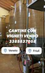 Foto CANTINE CON VIGNETI ANCHE DI PROSECCO  DOC