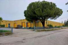 Foto Capannone a Campello sul Clitunno - Rif. 18116