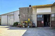 Foto Capannone a Costa di Rovigo - Rif. 2536035