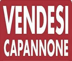 Foto Capannone a Mira - Rif. CP-160