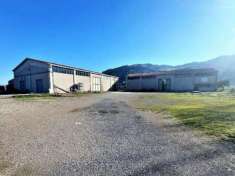 Foto Capannone a Montecalvo Irpino - Rif. 15107