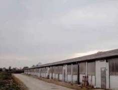 Foto Capannone in Vendita, 1 Locale, 2520 mq, Trebaseleghe