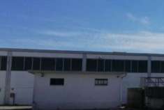 Foto Capannone in Vendita, 1 Locale, 6352 mq, Alfonsine