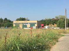 Foto Capannone in Vendita, pi di 6 Locali, 1000 mq, Cassine