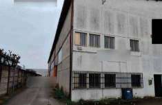 Foto Capannone in Vendita a Alfianello