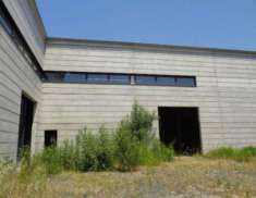 Foto Capannone Industriale - Parma . Rif.: NE2023300PR