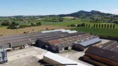 Foto Capannone industriale in Vendita[66165 mq]